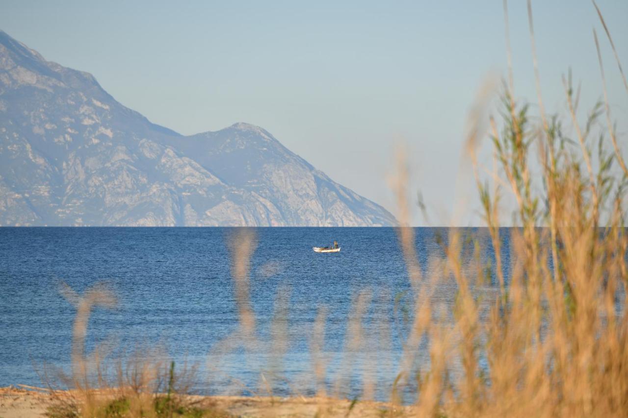 Villa Menie - Golden Fig Sykia Lodge Paralia Sikias Kültér fotó